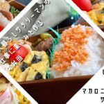 【お弁当作り】簡単だけどおかずたっぷりで嬉しくなるお弁当!!?