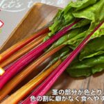 【スイスチャードレシピ】茎がすごくカラフルな謎の野菜スイスチャードをガーリックバターソテーにしてみた!【不断草】