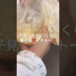 #節約#節約レシピ#スイーツ#簡単スイーツ#スコーン