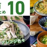 【豆苗レシピ10選】主菜にも副菜にも!簡単節約アレンジレシピ♪|macaroni(マカロニ)