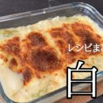 【白菜グラタン】とろ～りチーズで濃厚！冬のメインに！白菜レシピ#4