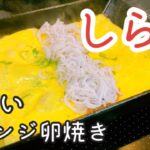 【お弁当 卵焼き】簡単!しらすの卵焼き 作り方7パターン紹介【南部鉄器 フライパン】