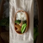 #72 ひさびさおべんとぅ/#曲げわっぱ弁当 #vlog #shorts