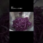 紫キャベツのアチャールの作り方short ver.｜スパイスカレーの副菜｜#スパイスカレー #レシピ #副菜