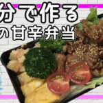 【お弁当】チルノが１０分で豚肉の甘辛炒め弁当を作ります！時短レシピ【ゆっくり実況】