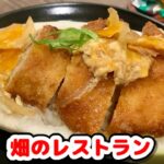 映画【ドラえもん】畑のレストランをカツ丼で再現！
