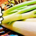 【ネギ レシピ】簡単!材料2つでエビチリ風ヘルシー中華炒め!