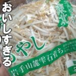 【もやし 副菜 レシピ】材料はもやしだけ!安くて無限に食べられる!もやし焼き
