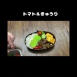 女子だって焼肉弁当／牛肉／彩りパプリカレシピ