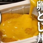 電子レンジで簡単!貧乏卵とじ丼10品まとめ【貧乏飯】