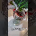 10万回再生⁉️簡単野菜スムージーの作り方 #ショート #shorts #ライフハック #lifehacks #簡単レシピ