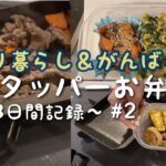 ひとり暮らしの簡単お弁当3日間記録 #2 / タッパー弁当 / 一人暮らし / 簡単レシピ