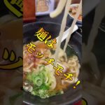 高浜市名物3種一気食い【みそかつ、とりめし、手打ち麺】