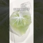 頑張らない5分バカうまキャベツ #時短レシピ #時短料理 #アイラップ #簡単レシピ #簡単料理