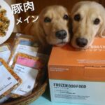 【犬ごはん】冷凍ドッグフード(豚肉メイン)食べてみた！ASMR 咀嚼音