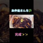 【旦那弁当】メインおかずなし。野菜多めの日弁当　＃Shorts