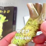 「わさび飯（わさび丼）」「わさび茶漬け」「わさびカルビ」の作り方・レシピ｜伊豆のわさびで孤独のグルメ再現｜ Wasabi Bowl, Wasabi Kalbi Recipes