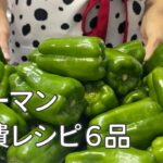 季節外れのピーマン詰め放題🫑メインから副菜までピーマン大量消費の６品