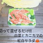 【切って混ぜるだけ】白菜とカニカマの紅白サラダ😁🦀🥗✨#副菜#白菜#カニカマ#サラダレシピ