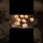 【レシピ】 ホタテを贅沢に！ホタテと水菜のパスタ