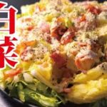 白菜は鍋だけの野菜じゃない、半玉余裕で食える白菜のやみつきサラダの作り方