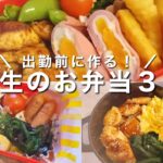 【簡単弁当】出勤前に作る!小学生息子の冬休みお弁当3日分🍙🍳🍟