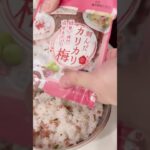 【お弁当作り】愛妻に作るお弁当の記録🍱2023/1/31 #shorts