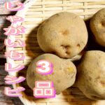 【簡単料理】　じゃがいもレシピ3品・じゃがいも大量消費　お弁当/おつまみ/作り置き/作り置きレシピ