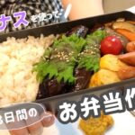 【3日間のお弁当作り#31】ナスを使ったレシピで夫のお弁当と妻のお昼ご飯