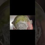 【5分で簡単レシピ】ガチでうまい!しらすとキャベツの塩こん和え #簡単レシピ #おすすめレシピ #5分副菜 #副菜レシピ