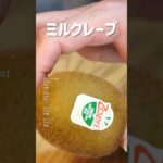 ミルクレープ💃 #ミルクレープ #ケーキ #デザート #スイーツ #おうちごはん #レシピ #献立 #shorts