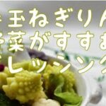 【ドレッシングレシピ】もうドレッシングは買わない！野菜のためのドレッシングレシピ。ハンドブレンダーがあれば一瞬で作れます♪