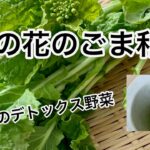 【菜の花のごま和え】‥春のデトックス野菜‥作り方　レシピ