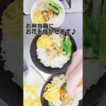 ヘルシー節約五色丼弁当 #お弁当 #節約 #お弁当作り #のっけ丼 #ちくわレシピ #節約レシピ