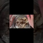 【３分副菜レシピ】きのこの塩麹ナムル　さすがにうまリピ確！！作り置きにもおすすめ👍  #簡単レシピ #おすすめレシピ #ヘルシーレシピ #作り置き