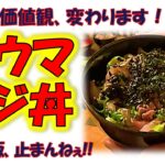 【レシピ紹介】激ウマ、アジ丼！あるモノをを入れたら、激ウマになった。釣り人必見！アジの価値観、変わります。ご飯が止まんねぇ！
