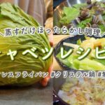 旬の野菜レシピ | フライパンひとつで出来る春キャベツ料理3選。蒸すだけほったらかし調理 | クリステル鍋 | ステンレスフライパン