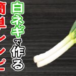 白ネギ簡単レシピまとめ4選!副菜からメインまで!冷蔵庫にあるものでお手軽おかずの作り方/白ネギレシピ/作り置きレシピ/お弁当おかず【あさごはんチャンネル】