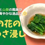 はまだ飯#45 春野菜の推しレシピ！おひたしの簡単出汁にワサビをプラスした”菜の花のわさ浸し”