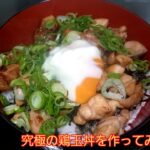【ズボラ飯】鶏玉丼の作り方 【ちゃんやま cooking】