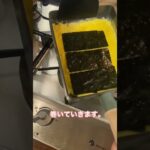 お弁当に入れたい🌸#レシピ#簡単レシピ#卵焼き#料理動画#レシピ動画#ゆりごはん#cookingvideo#japanesefood