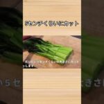小松菜がもりもり食べられるレシピ　＃shorts ＃板前