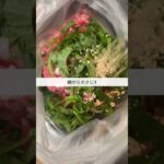 【やみつき】大葉が余ってたから豚肉と合わせて最強レシピ完成！#shorts #料理 #ズボラ主婦 #レシピ #時短 #大葉 #簡単レシピ #お弁当