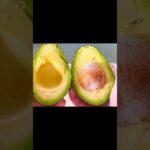 めんどくさがり女のアボカドサーモン丼#shorts #short