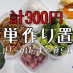 限界大学生による簡単作り置きレシピ-お弁当にも-|simple meal prep for lunch box