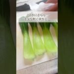 オシャレに美味しく野菜を食べる【チンゲンサイの巻きナムル】#簡単レシピ #ダイエット #ヘルシーレシピ