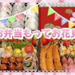 【お花見お弁当】桜の季節がやってきた🌸お弁当もってお花見行くか⁉️