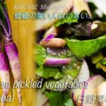 日野菜の浅漬　メッセージ　簡単レシピ　ワイルドなお漬物かもしれません。