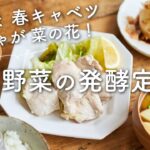 【新玉ねぎ、春キャベツなど】春野菜の発酵定食のレシピ・作り方