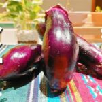 【なす レシピ】おうちにある材料だけで簡単おいしい副菜♪